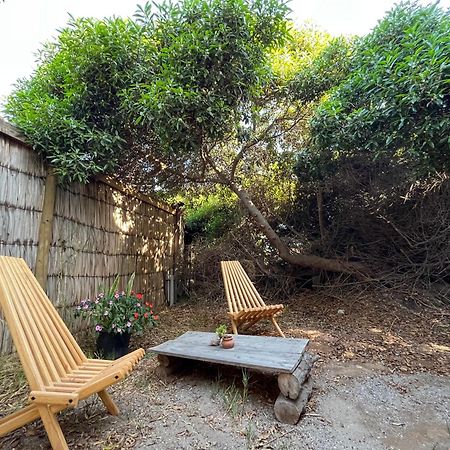 El Arbol Eco Lodge La Serena Esterno foto