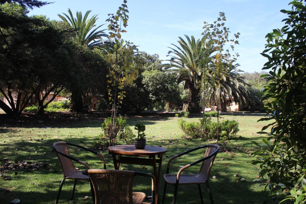 El Arbol Eco Lodge La Serena Esterno foto