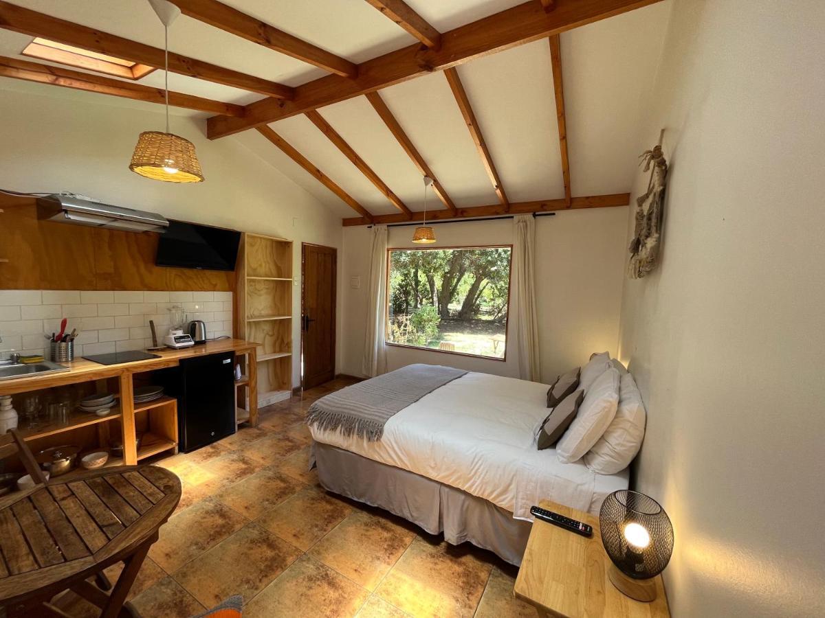 El Arbol Eco Lodge La Serena Esterno foto