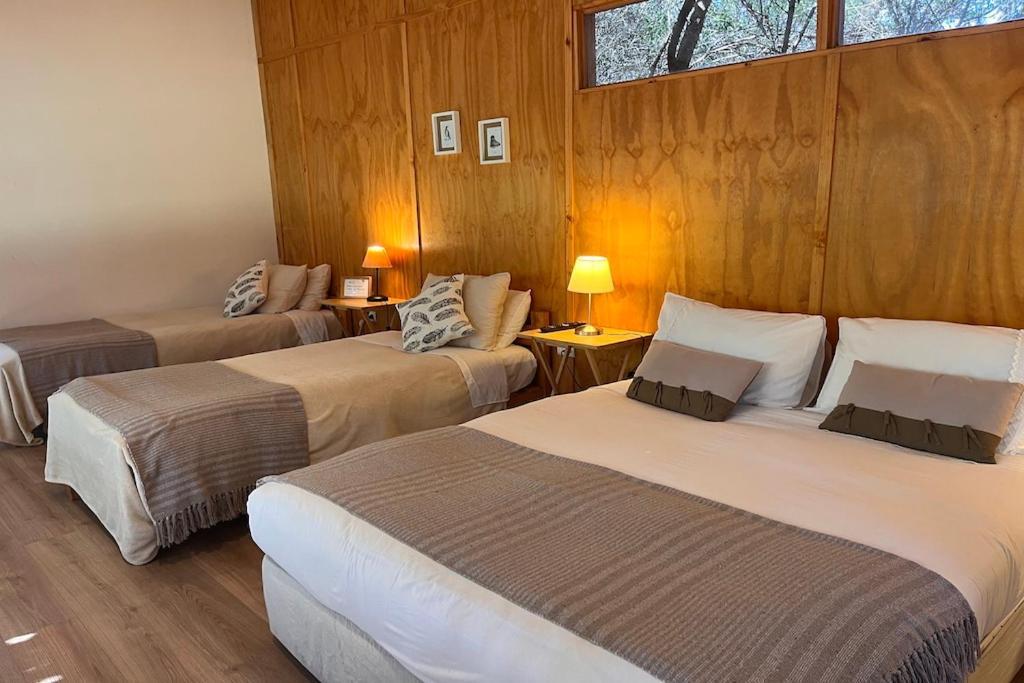 El Arbol Eco Lodge La Serena Esterno foto