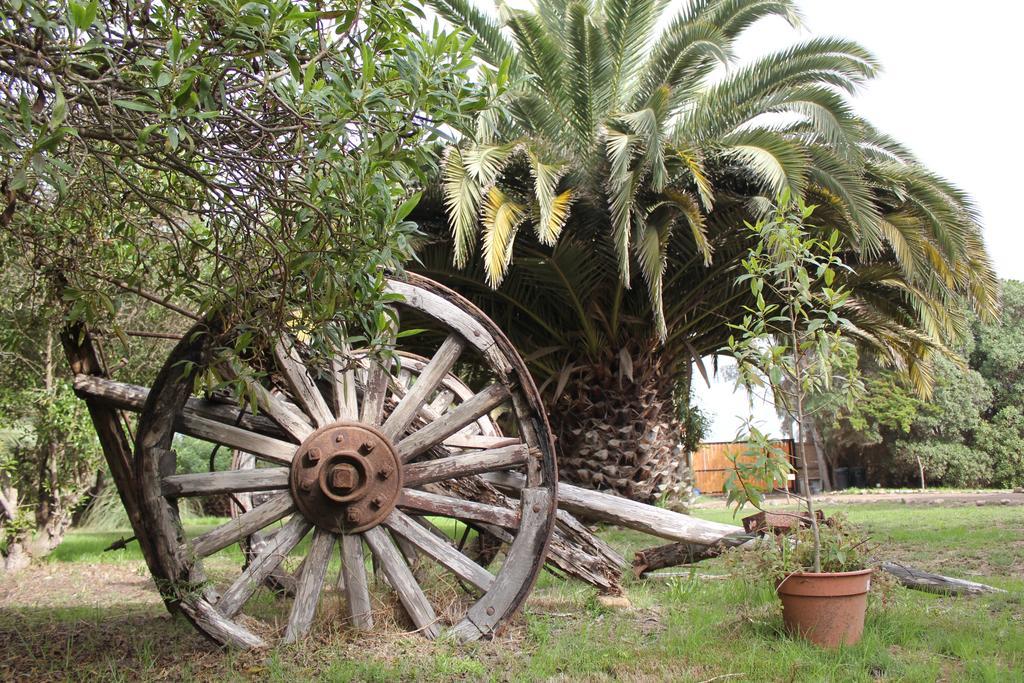 El Arbol Eco Lodge La Serena Esterno foto